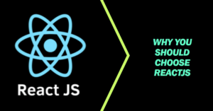 React Js web development